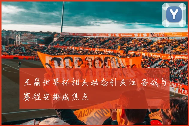 王晶世界杯相关动态引关注 备战与赛程安排成焦点