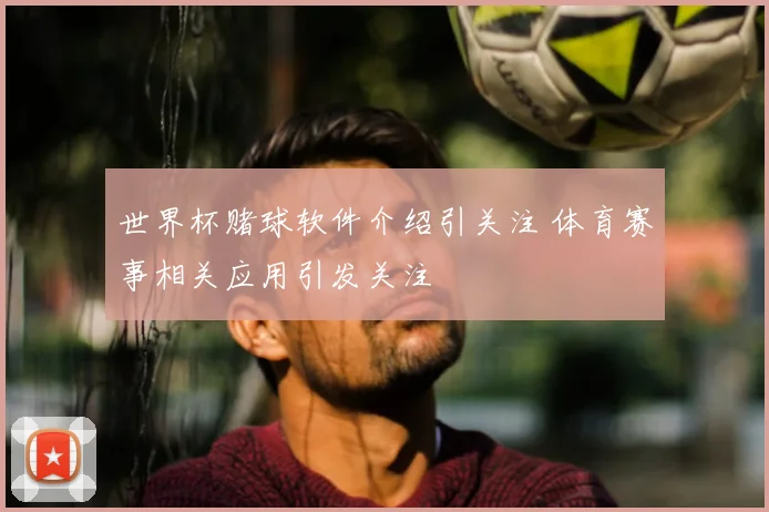世界杯赌球软件介绍引关注 体育赛事相关应用引发关注