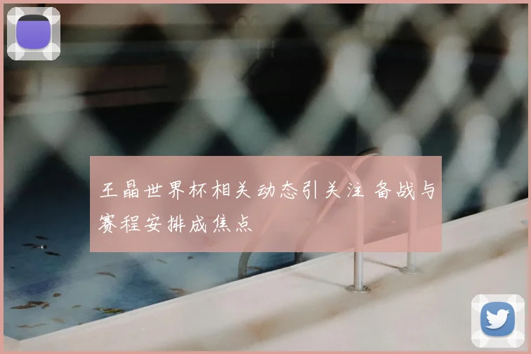 王晶世界杯相关动态引关注 备战与赛程安排成焦点