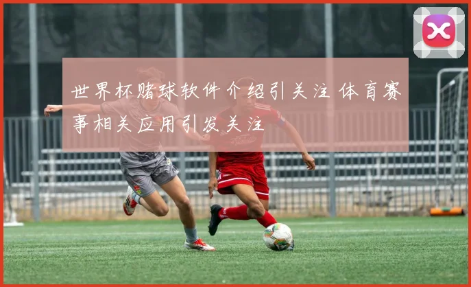 世界杯赌球软件介绍引关注 体育赛事相关应用引发关注