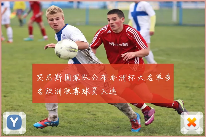 突尼斯国家队公布非洲杯大名单多名欧洲联赛球员入选